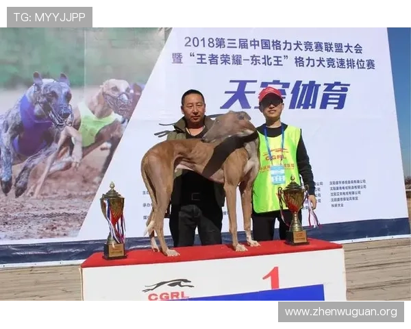 乐竞体育中国官网赛事数据分析与统计报告帮助体育爱好者深入了解比赛细节